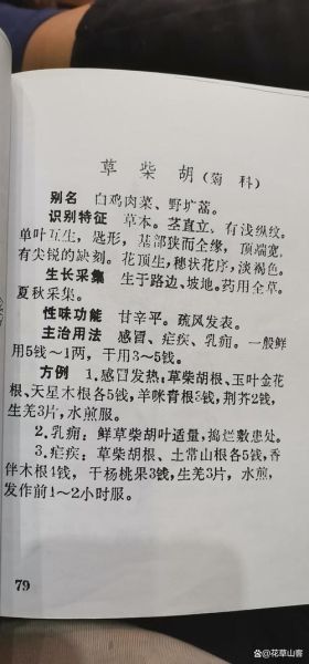 非物质文化遗产 草药医(非药草医入门指南:草药医是什么?)-第3张图片-八三百科 非物质文化遗产 草药医(非药草医入门指南:草药医是什么?)-第3张图片-八三百科