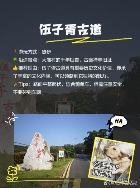 含山非物质文化遗产(含山非遗有哪些值得看的体验清单)-第2张图片-八三百科 含山非物质文化遗产(含山非遗有哪些值得看的体验清单)-第2张图片-八三百科