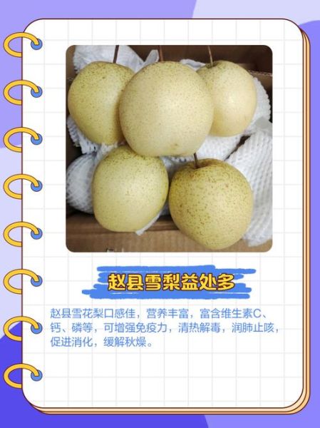 雪梨非物质文化遗产(雪梨非遗体验一日游攻略)-第2张图片-八三百科 雪梨非物质文化遗产(雪梨非遗体验一日游攻略)-第2张图片-八三百科