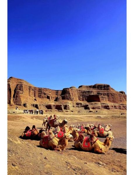 巴哈力非物质文化遗产(巴哈力文化遗产入选了吗)-第2张图片-八三百科 巴哈力非物质文化遗产(巴哈力文化遗产入选了吗)-第2张图片-八三百科