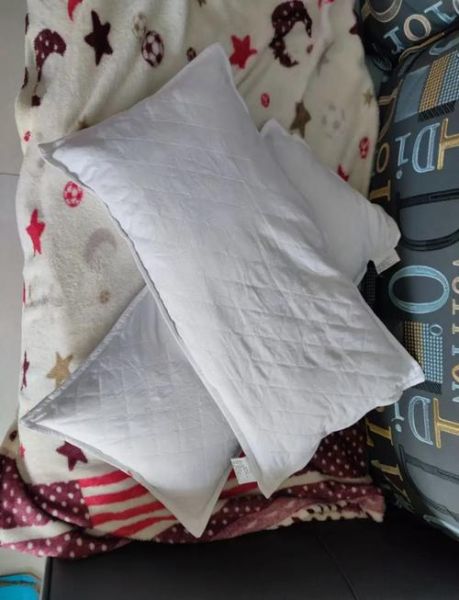 药枕非物质文化遗产（非遗药枕有什么功效和禁忌）-第2张图片-八三百科