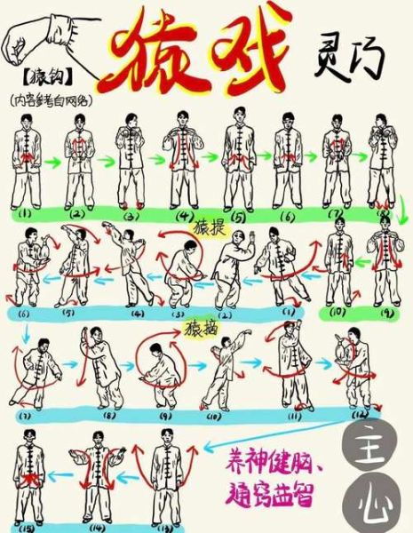 非物质文化遗产5禽戏（新手如何学习五禽戏：入门动作全解）-第3张图片-八三百科