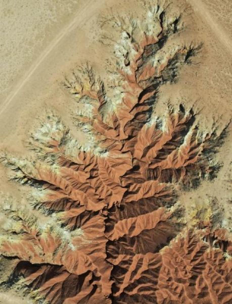 红山非物质文化遗产（红山非遗体验一日游攻略）-第2张图片-八三百科