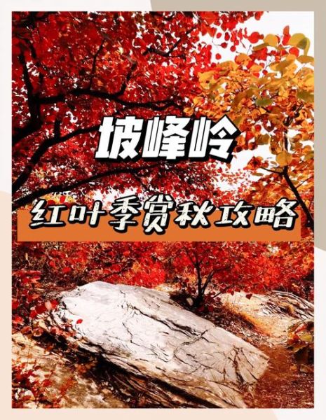 红山非物质文化遗产（红山非遗体验一日游攻略）-第3张图片-八三百科