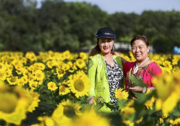 非物质文化遗产 兰静(非遗传承人兰静是谁)-第3张图片-八三百科 非物质文化遗产 兰静(非遗传承人兰静是谁)-第3张图片-八三百科