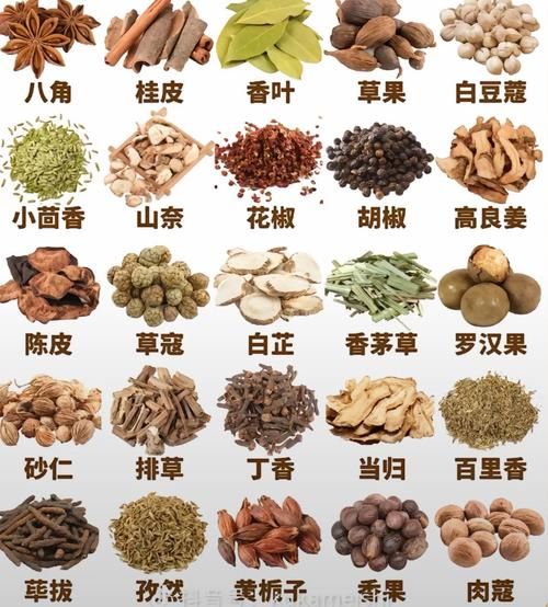 非物质文化遗产调料（非物质文化遗产调料有哪些：小白扫盲指南）-第1张图片-八三百科