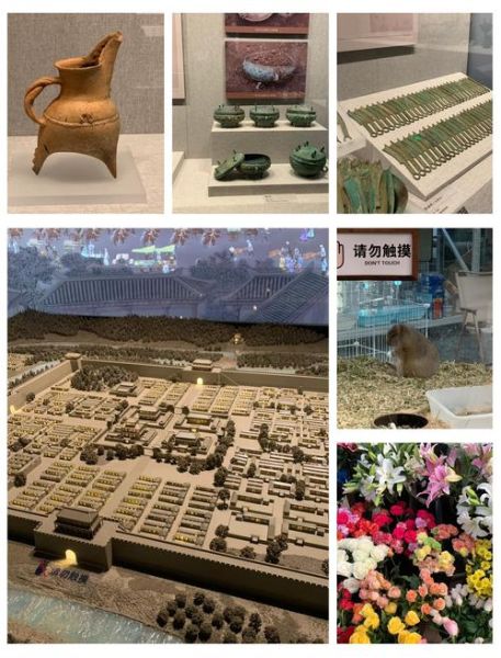 阳城非物质文化遗产（阳城非遗有哪些值得一试的特色体验？）-第3张图片-八三百科