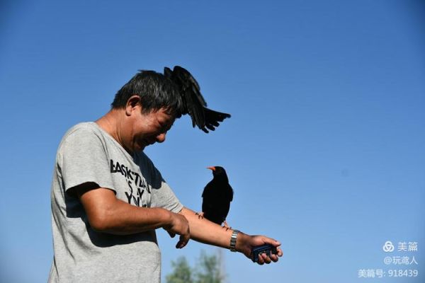鸟人非物质文化遗产（鸟人技艺非遗申报全流程）-第3张图片-八三百科