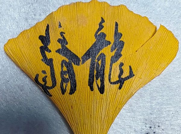 叶子非物质文化遗产（叶子非物质文化遗产在哪里）-第2张图片-八三百科