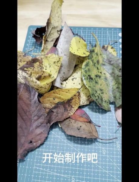 秋叶非物质文化遗产(秋叶非遗制作入门教程)-第2张图片-八三百科 秋叶非物质文化遗产(秋叶非遗制作入门教程)-第2张图片-八三百科