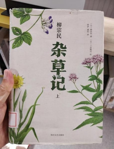 非物质文化遗产杂草（杂草型非遗有哪些？入门者必读指南）-第2张图片-八三百科