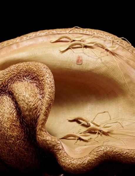 非物质文化遗产 竹编（竹编非物质文化遗产新手入门教程）-第2张图片-八三百科