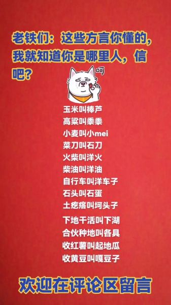 非物质文化遗产方言（方言保护传承方法与新手入门）-第2张图片-八三百科