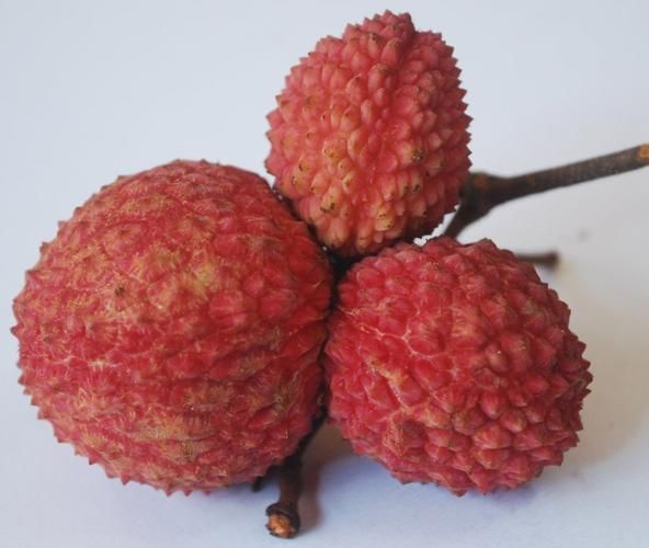 非物质文化遗产水果图片（非物质文化遗产水果高清图片大全）-第1张图片-八三百科