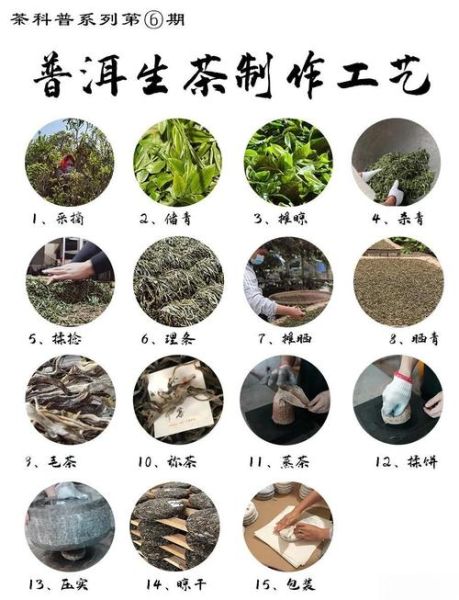普洱茶非物质文化遗产（普洱生茶非遗制作工艺流程详解）-第1张图片-八三百科