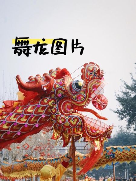 非物质文化遗产 舞龙（非遗舞龙初学教程与道具选购）-第1张图片-八三百科