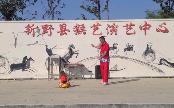 猴戏世界非物质文化遗产（猴戏是世界非物质文化遗产吗？）-第2张图片-八三百科