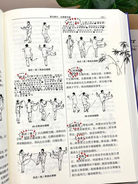 蹬技非物质文化遗产（蹬技非遗怎么学？零基础入门指南）-第1张图片-八三百科