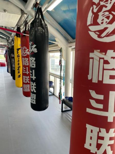 非物质文化遗产拳击(非物质文化遗产拳击怎么学)-第3张图片-八三百科 非物质文化遗产拳击(非物质文化遗产拳击怎么学)-第3张图片-八三百科