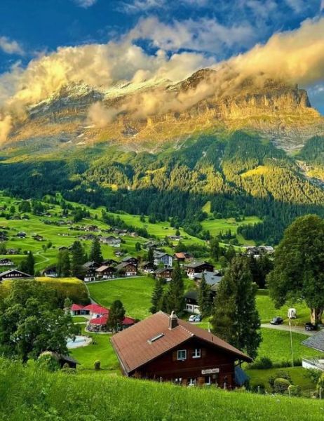 瑞士的非物质文化遗产是(瑞士非物质文化遗产有哪些)-第2张图片-八三百科 瑞士的非物质文化遗产是(瑞士非物质文化遗产有哪些)-第2张图片-八三百科