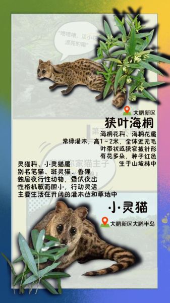 非物质动物文化遗产名录（中国非遗动物名录包括哪些动物）-第3张图片-八三百科