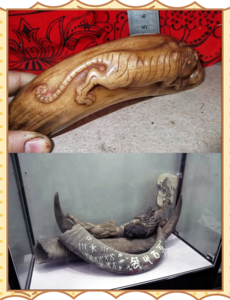 骨雕手艺非物质文化遗产（骨雕手艺初学者怎么入门）-第3张图片-八三百科