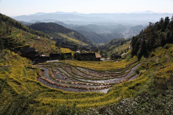 娄底非物质文化遗产景点（娄底非遗景点最值得去的地方是哪）-第3张图片-八三百科