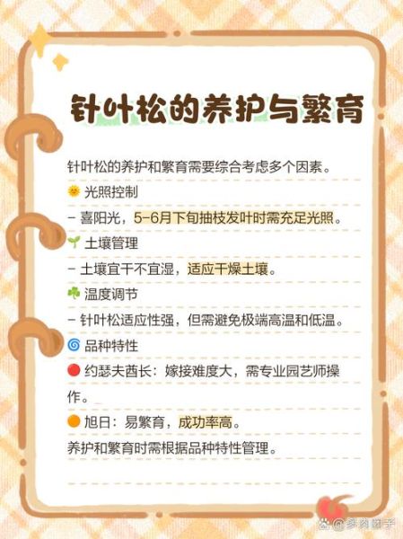 叶松春 非物质文化遗产（叶松春非遗项目入门攻略）-第2张图片-八三百科