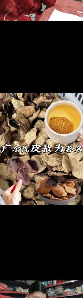 非物质文化遗产广东陈皮（广东非遗陈皮怎么保存）-第1张图片-八三百科