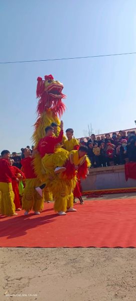 新郑舞狮非物质文化遗产（新郑舞狮非遗传承流程怎么学）-第3张图片-八三百科