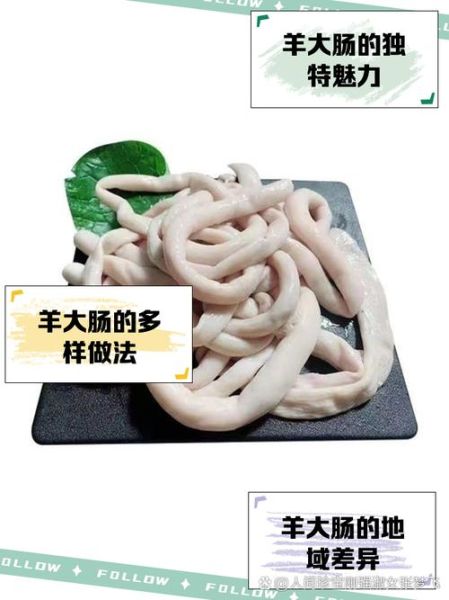 非物质文化遗产大肠（非物质文化遗产大肠是什么？新手必读攻略）-第2张图片-八三百科