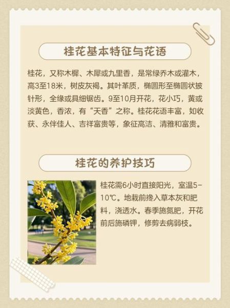 桂花非物质文化遗产（桂花非遗手工技艺新手入门指南）-第1张图片-八三百科