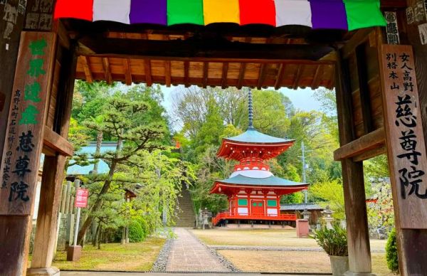 日本世界非物质文化遗产（日本的世界非物质文化遗产有哪些）-第1张图片-八三百科