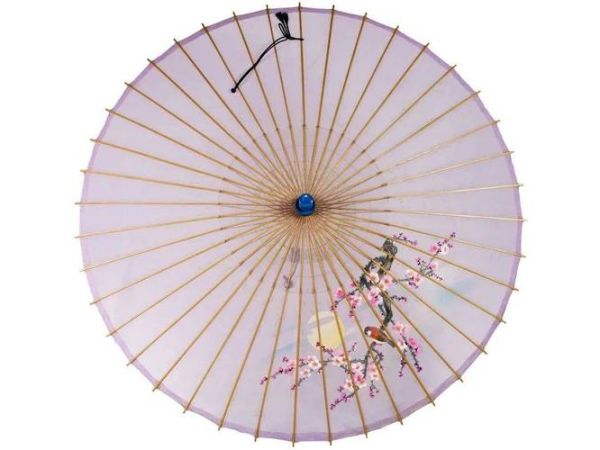 浙江非物质文化遗产伞（西湖绸伞非遗怎么入门）-第3张图片-八三百科