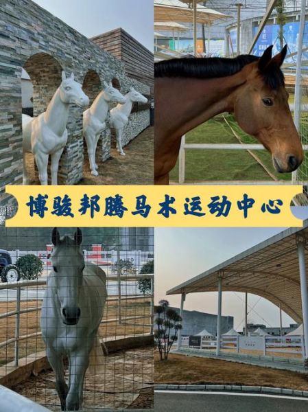 马术 非物质文化遗产(马术非遗项目有哪些适合入门)-第3张图片-八三百科 马术 非物质文化遗产(马术非遗项目有哪些适合入门)-第3张图片-八三百科