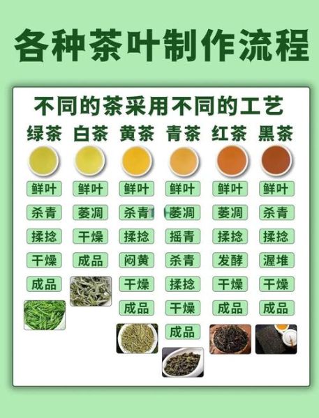 非物质文化遗产制茶（传统制茶技艺非遗全解：新手如何入门？）-第3张图片-八三百科