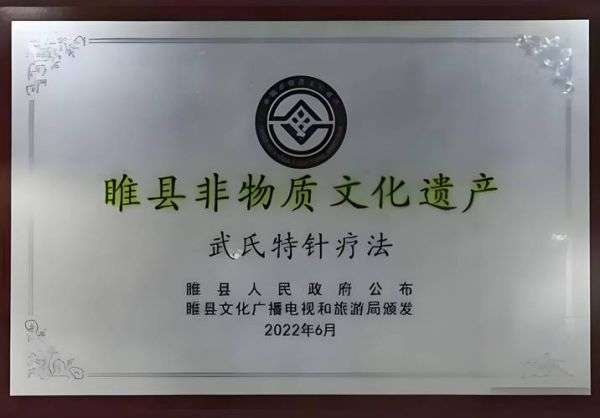 针灸非物质文化遗产论文（针灸申遗成功几年了：十三年）-第3张图片-八三百科