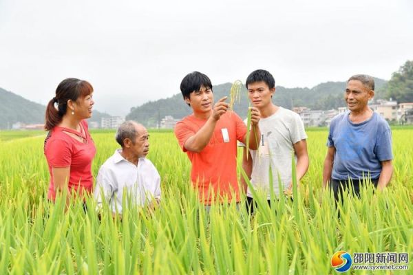 羊古坳镇非物质文化遗产（羊古坳镇非遗有哪些？）-第1张图片-八三百科