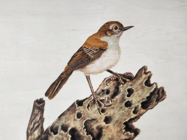 临沂非物质文化遗产名录（临沂非遗名录有哪些值得一看？）-第2张图片-八三百科