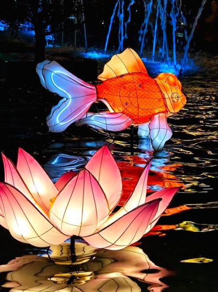 鱼龙舞非物质文化遗产（鱼龙舞非遗表演流程详解）-第1张图片-八三百科