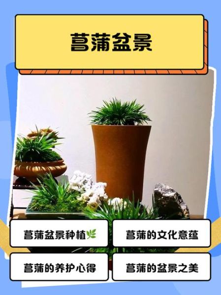 非物质文化遗产菖蒲（菖蒲非遗手工香牌制作教程）-第3张图片-八三百科