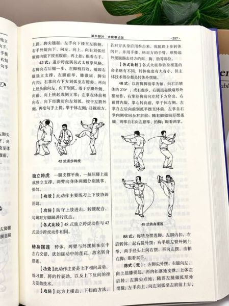 非物质文化遗产道门太极(道门太极入门:零基础也能学会)-第3张图片-八三百科 非物质文化遗产道门太极(道门太极入门:零基础也能学会)-第3张图片-八三百科