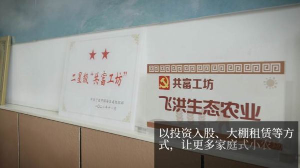 富华非物质文化遗产（富华非遗工坊在哪个城市）-第1张图片-八三百科