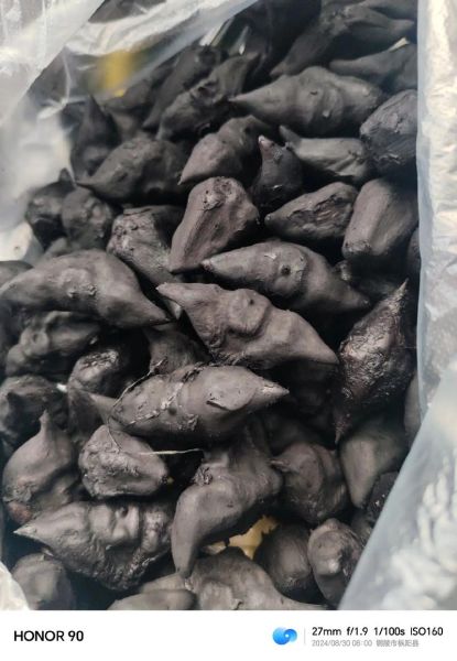 非物质文化遗产菱角（非遗菱角：为什么江南人都说它是水中宝）-第3张图片-八三百科