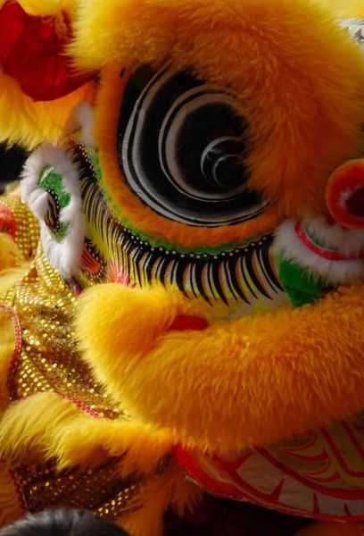 非文化物质文化遗产醒狮(醒狮是非遗吗?——新手也能看懂的入门指南)-第1张图片-八三百科 非文化物质文化遗产醒狮(醒狮是非遗吗?——新手也能看懂的入门指南)-第1张图片-八三百科