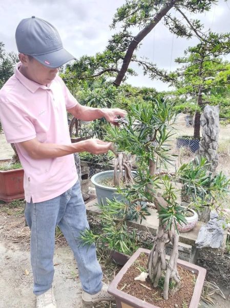 非物质文化遗产罗松(罗松非遗技艺入门新手快速上手)-第1张图片-八三百科 非物质文化遗产罗松(罗松非遗技艺入门新手快速上手)-第1张图片-八三百科