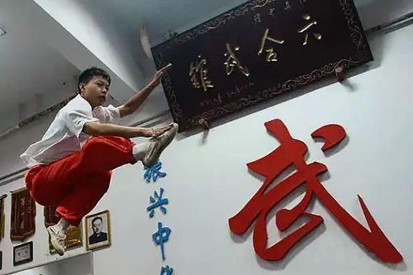 非物质文化遗产武术(非物质文化遗产武术有哪些门类)-第3张图片-八三百科 非物质文化遗产武术(非物质文化遗产武术有哪些门类)-第3张图片-八三百科