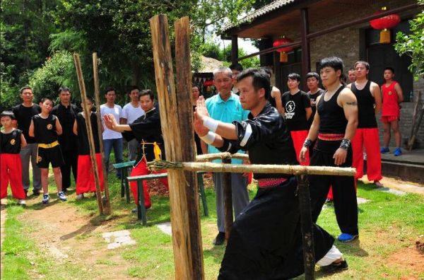 非物质文化遗产武术(非物质文化遗产武术有哪些门类)-第2张图片-八三百科 非物质文化遗产武术(非物质文化遗产武术有哪些门类)-第2张图片-八三百科