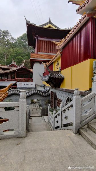 龙海石码非物质文化遗产（龙海石码非遗有哪些值得看）-第2张图片-八三百科