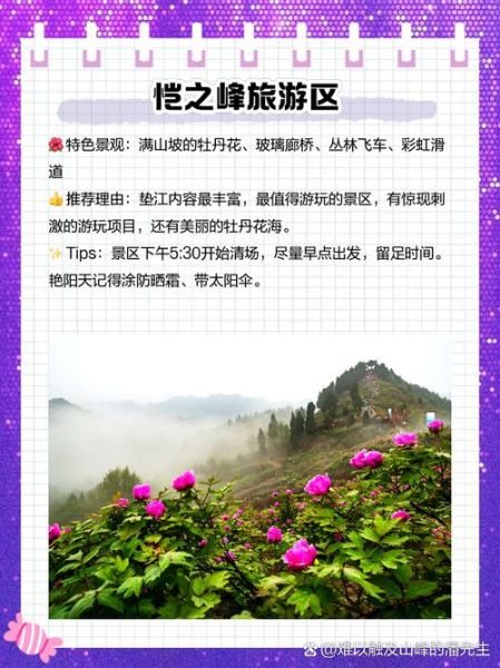 垫江县非物质文化遗产（垫江非遗旅游路线完整攻略）-第1张图片-八三百科